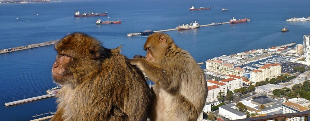 Dagtocht naar Gibraltar vanuit Granada