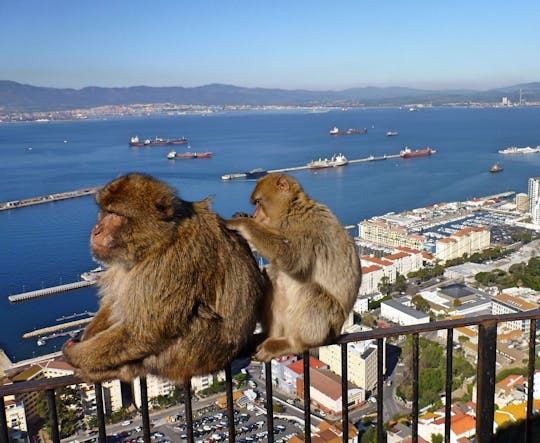 Dagtocht naar Gibraltar vanuit Granada