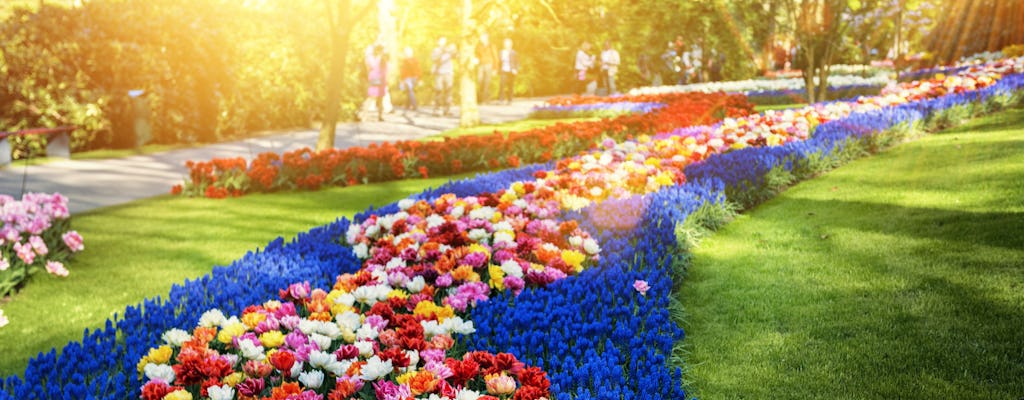 Luxury sightseeing tour to Keukenhof with private transportation from Amsterdam