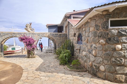 Viña del Mar and Pablo Neruda's House in Isla Negra