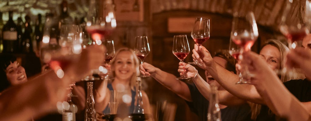 Degustação de vinhos em Ljubljana