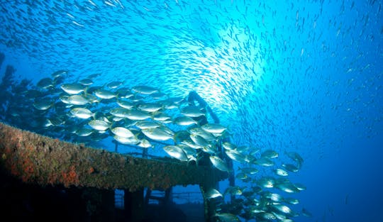 Porto Santo Snorkelling Tour