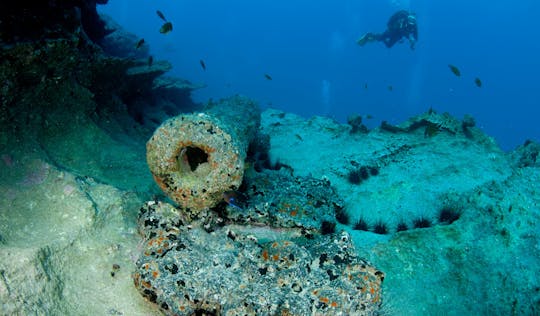 Porto Santo Check Dive