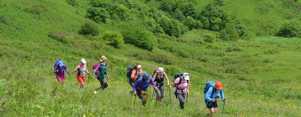 Excursión de senderismo al parque nacional de Dilijan desde Ereván