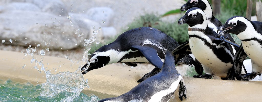 Entradas para el Bioparco de Roma