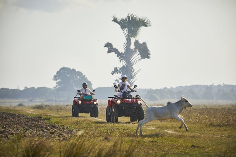 Zanzibar quad bike tour