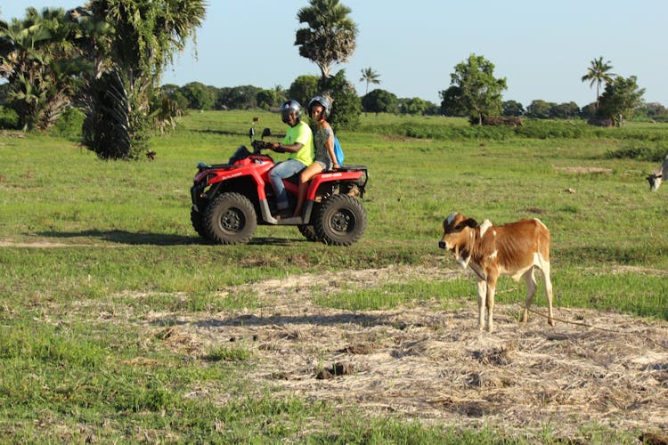 Zanzibar quad bike tour