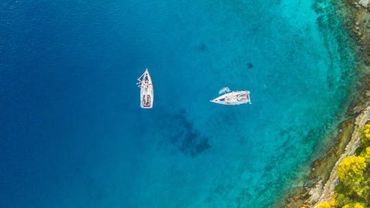 Paseo en velero privado y curso básico de vela.