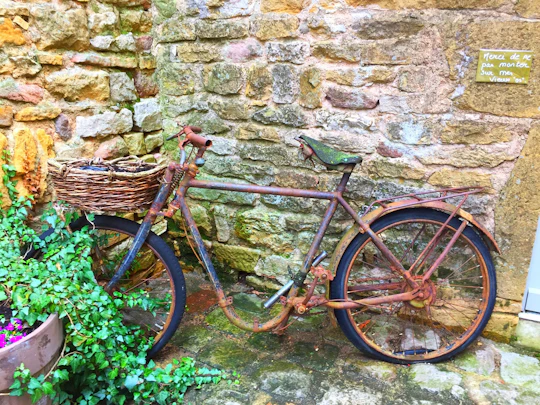 Private Beaujolais wine tour from Lyon