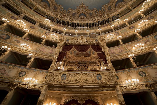 La Fenice theater private tour in Venice