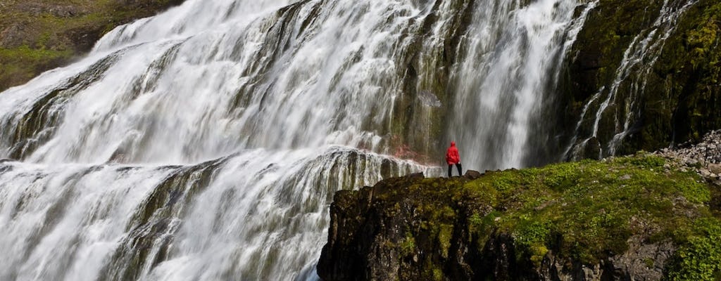 Besuchen Sie die Kronjuwelen Kjaran's Avenue und Dynjandi mit dem Jeep