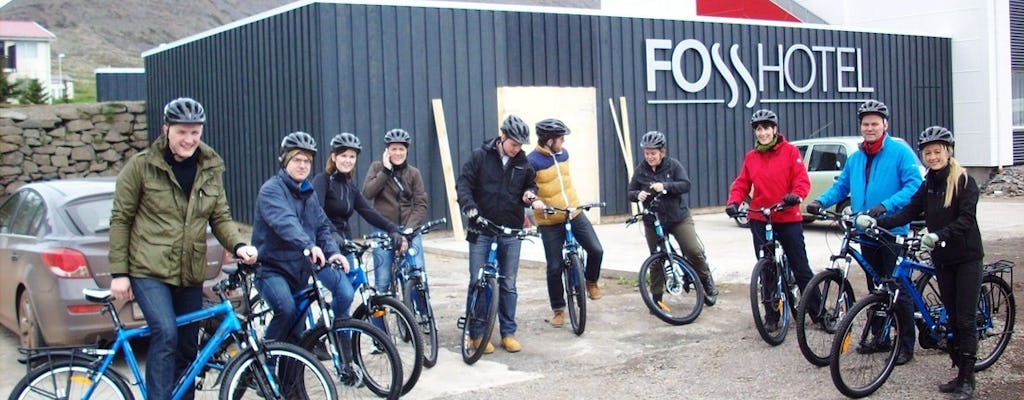 Passeie pelo fiorde de bicicleta