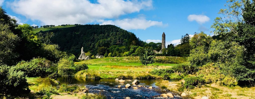 Tour em italiano pelas Montanhas de Wicklow