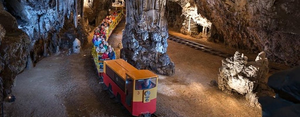 Visite en petit groupe des charmantes grottes de Ljubljana et Postojna au départ de Zagreb