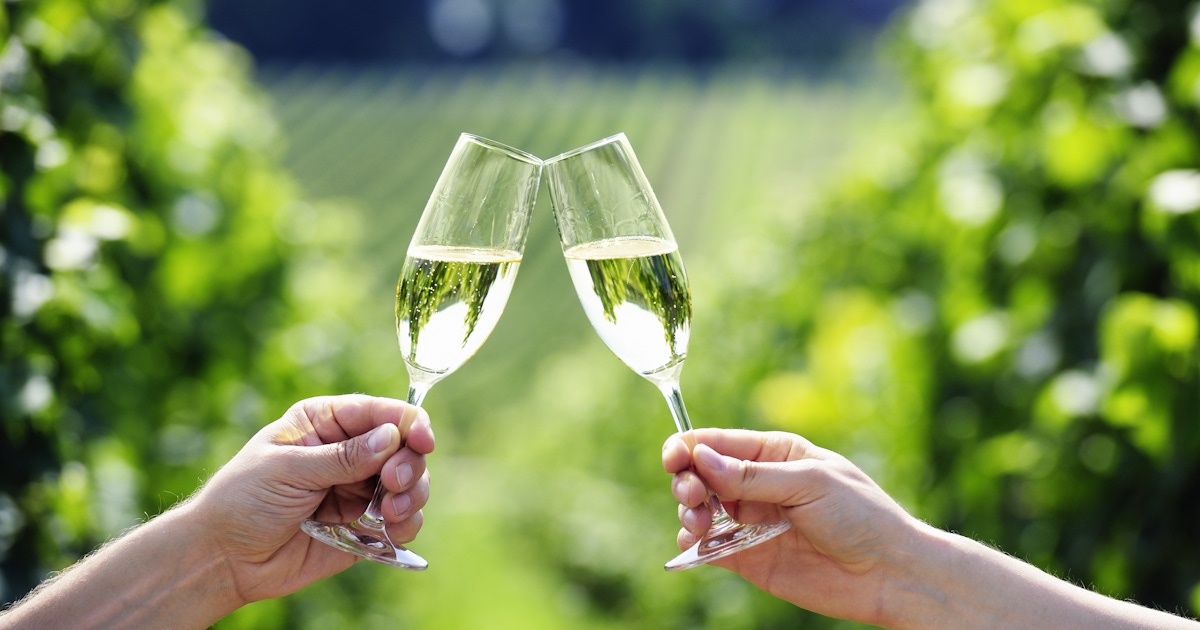 Магнитный пазл 27x18см."Игристое вино, бокалы для шампанского, напиток" на холод