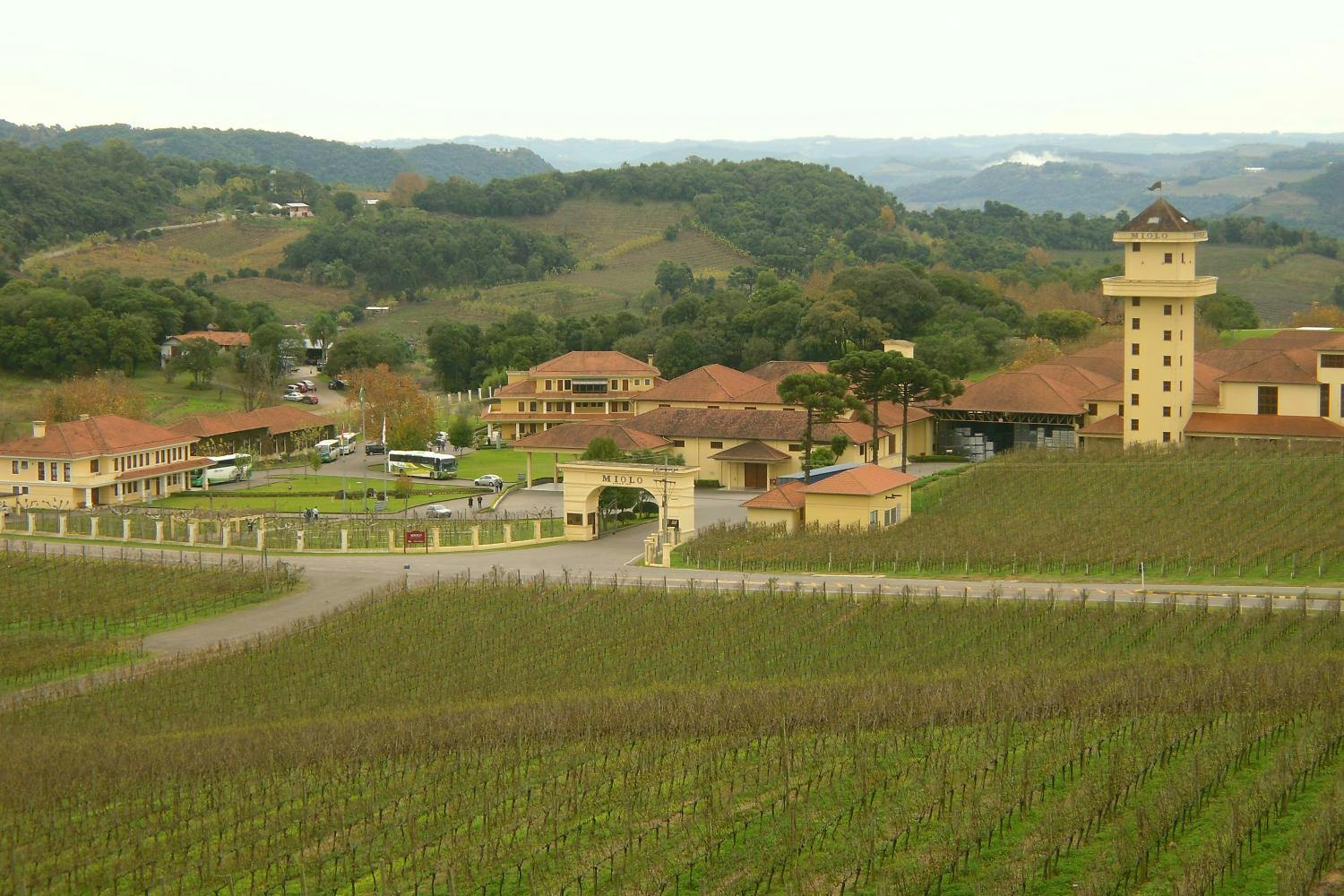 Gran Reserva Weintour mit Verkostung