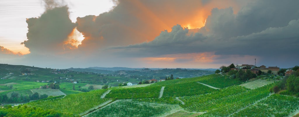 Wycieczka po winach Franciacorta i degustacja z Mediolanu