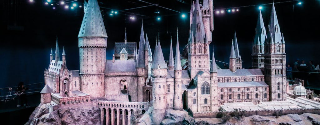 Visite privée d'une demi-journée de Harry Potter à Londres