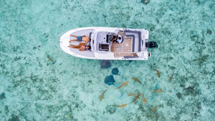 Bora Bora blue lagoon cruise