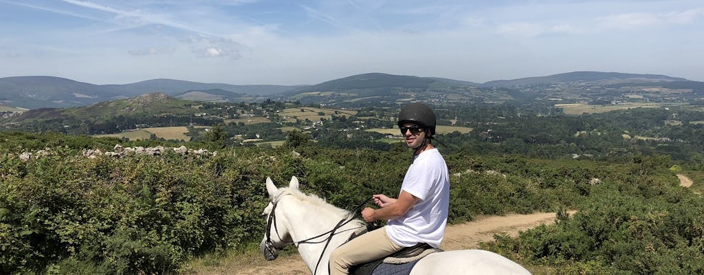 Excursão de um dia a Wicklow e Glendalough saindo de Dublin com passeios a cavalo