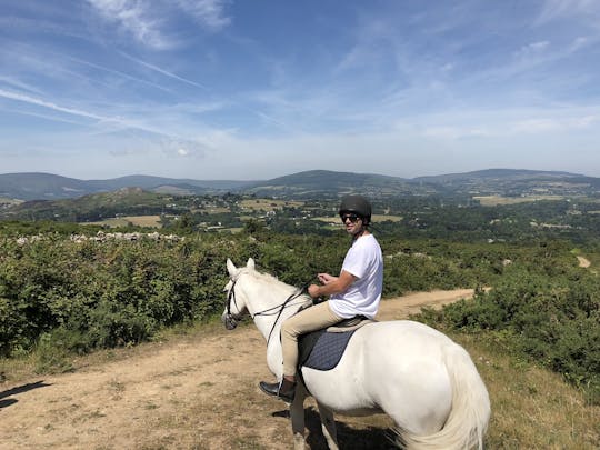 Wicklow and Glendalough day tour from Dublin with horse riding