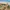 Edinburgh Altstadt