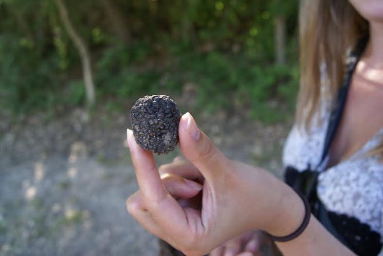 3-hour truffle hunting tour at Les Pastras