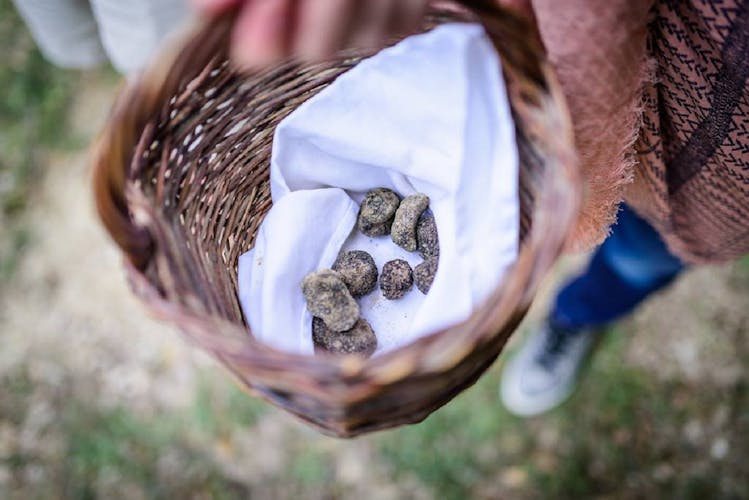 3-hour truffle hunting tour at Les Pastras