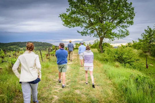 Esperienza di foraggiamento nel Parco Nazionale del Luberon