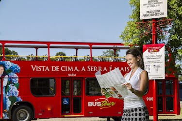 Tour de 1 día en autobús turístico con paradas libres y tour de cerveza en autobús