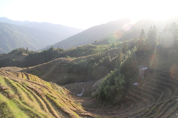 Full-day rice terrace in Longsheng and local village tour