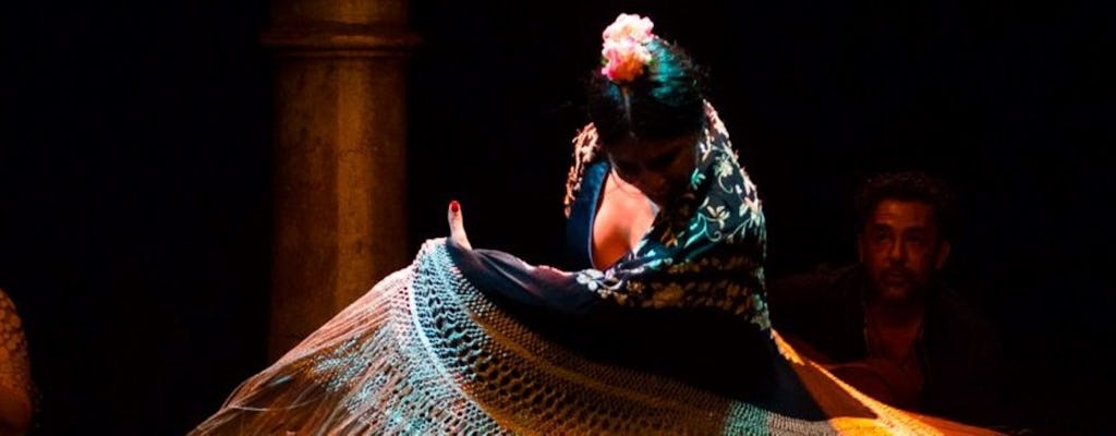 Espectáculo de flamenco en el Museo del Baile Flamenco - solo espectáculo