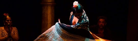 Espectáculo de flamenco en el Museo del Baile Flamenco - solo espectáculo