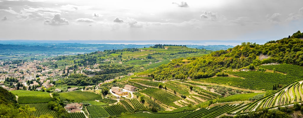 Verona and Valpolicella wine experience