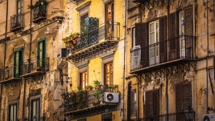 Private walking tour of Palermo