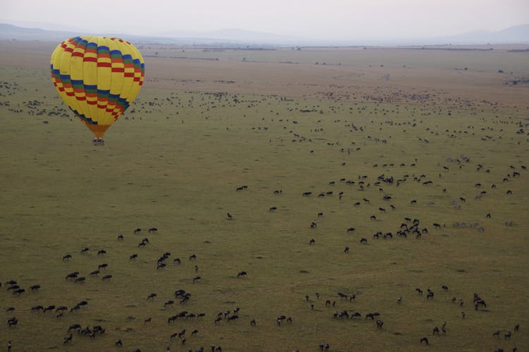 Maasai Mara hot air balloon safari