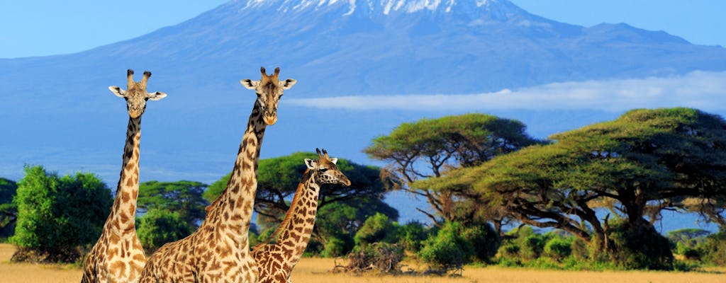 5-day safari through the national parks from Nairobi to Mombasa