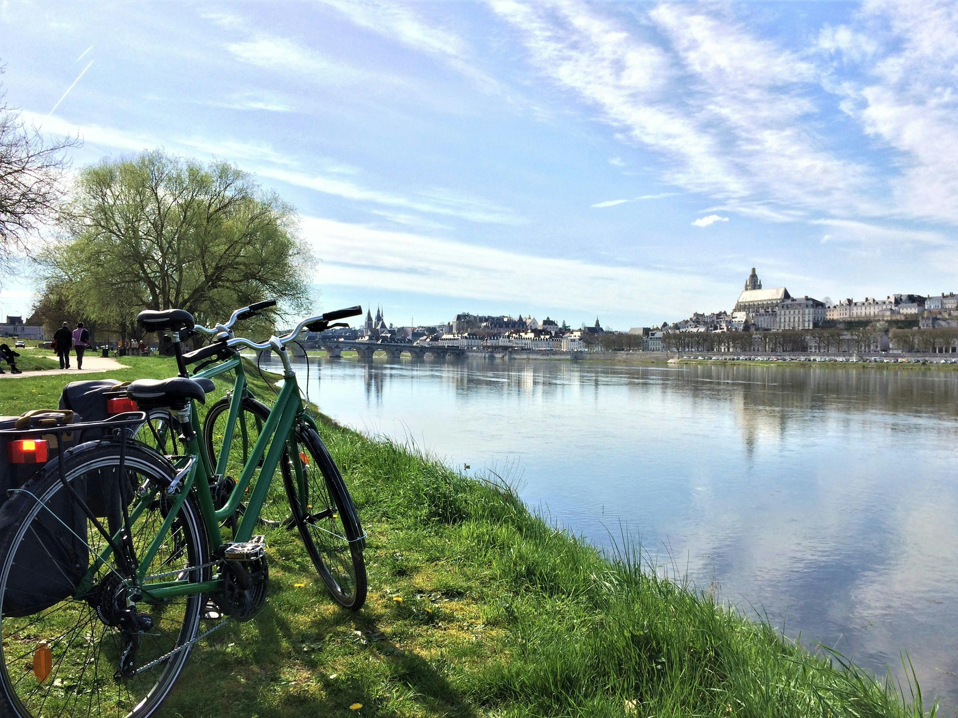 Tour en bicicleta por el Valle del Loira con visita al Palacio Real de Blois