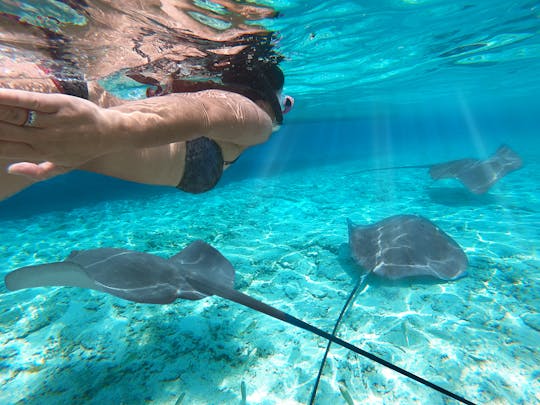 Lagoon small group snorkeling tour in Bora Bora