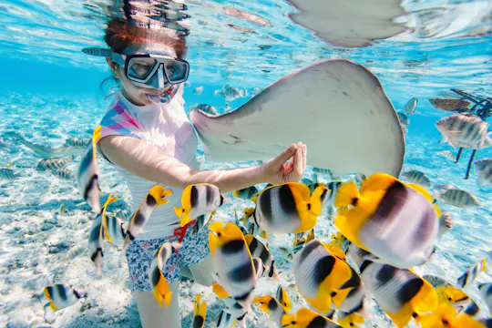 Lagoon private snorkeling tour in Bora Bora