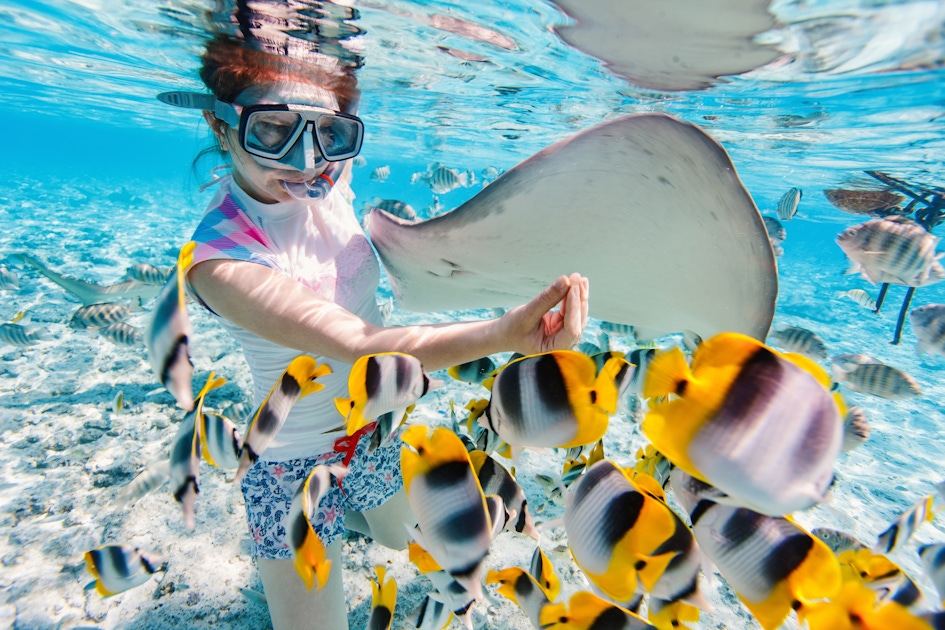 Bora Bora Must-See Attractions, Tours & Highlights Guide