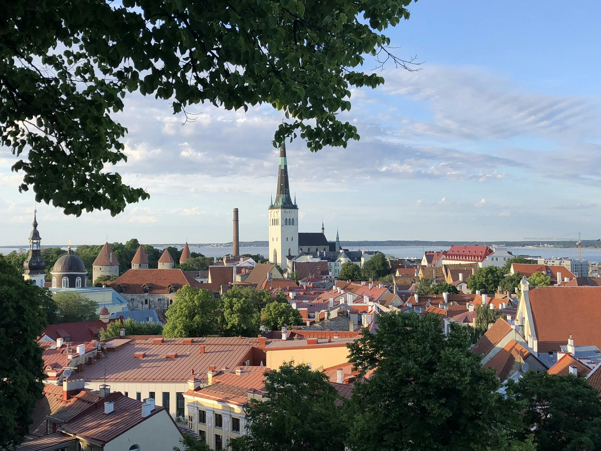 Visite à pied privée du vieux Tallinn