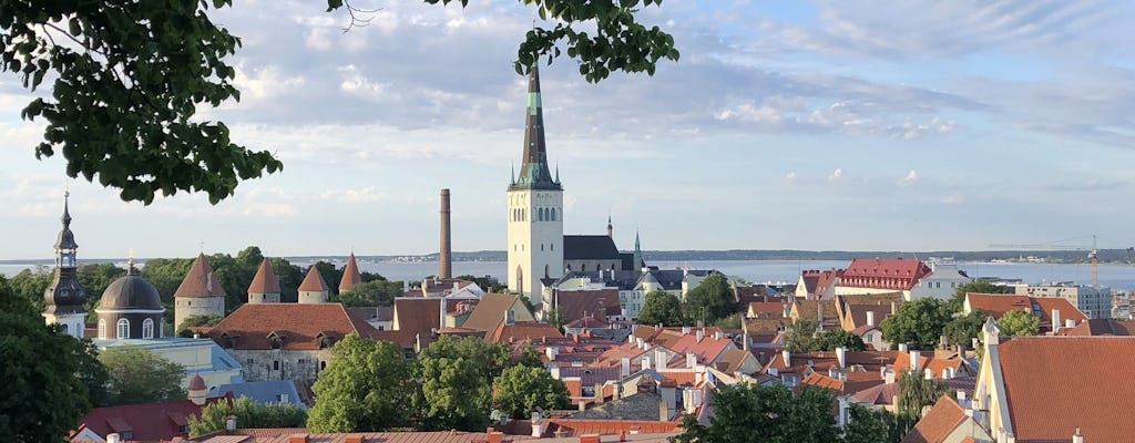 Visite à pied privée du vieux Tallinn