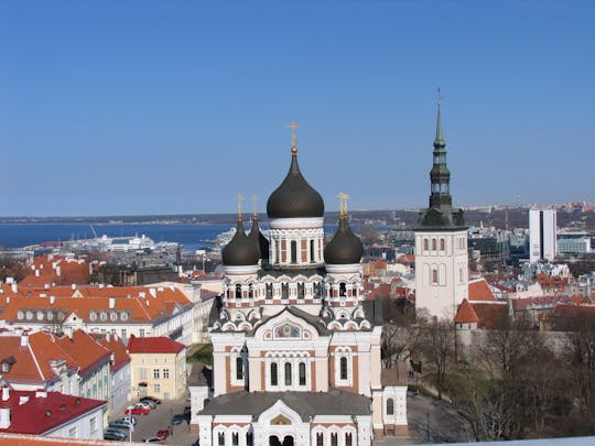 Excursão privada a Tallinn e a zona rural da Estônia