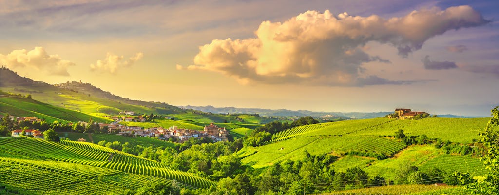 Visite privée et dégustation des vins de Barolo au départ de Turin