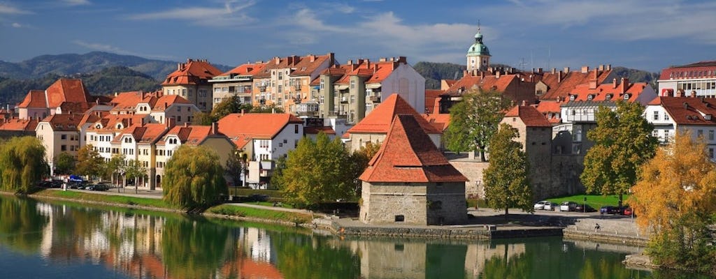Wine and history day tour to Maribor and Styria
