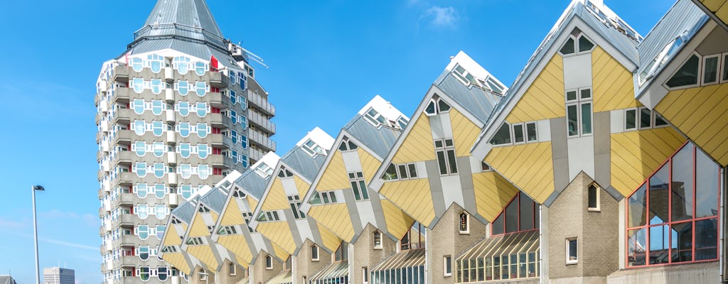 Excursion privée d'une journée à Rotterdam et Kinderdijk