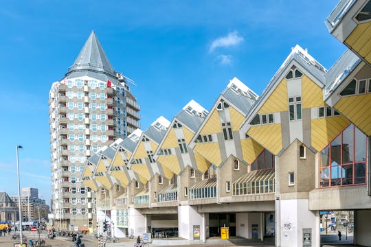 Tour privato in giornata di Rotterdam e Kinderdijk