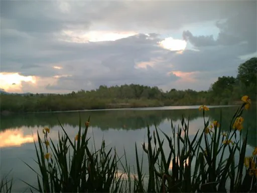 202004295ea9af299f273.jpg