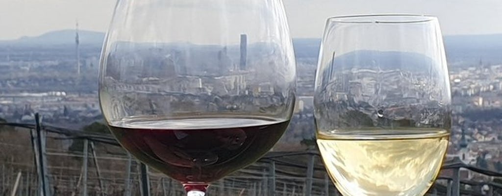 Cata de vinos histórica y recorrido a pie en Viena